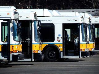 Photograph of several buses.