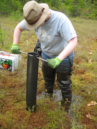 A student standing in a bog with a large metal cylinder used for taking core samples.