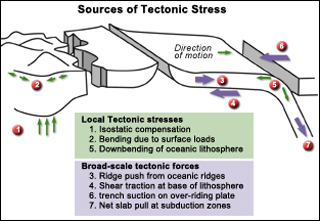 Diagram of tectonic plates showing possible sources of stress.