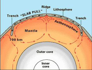 An illustration of the of how convections in the Earth's crust drive plate tectonics.