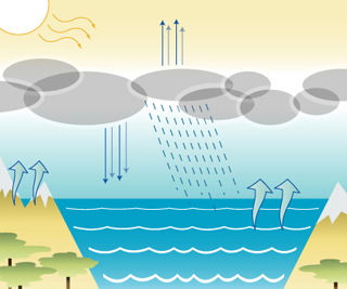 Diagram showing evaporation and precipitation patterns over land and water.