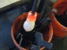 Photo of the glass vase just before being removed from the blowpipe on which it was made.