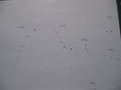 Photo of dark series of marks on a white piece of paper, showing where a ball dropped onto the piece of paper bounced.