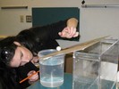 Photo of a student studying a ball as she rolls it down a cardboard ramp and into a  glass of water.