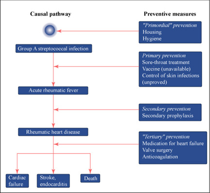 Flow chart of causal pathway and preventative measures for rheumatic heart disease.