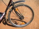 Photo of front wheel and fork.