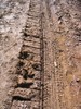 Close up of mini flail tracks. 