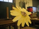 Final prototype of the Sunflower.