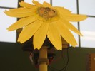 Front view of the SunFlower.