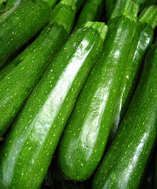 A close-up photo of a bunch of zucchinis.