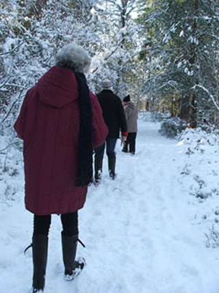 People walking through snow-covered woods.