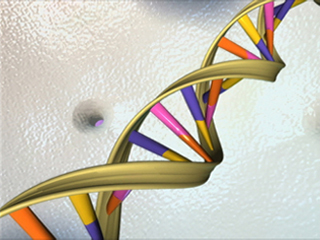An illustration showing the double helix structure of DNA