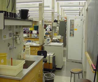 Photo of student laboratory in the Biology Department at MIT.
