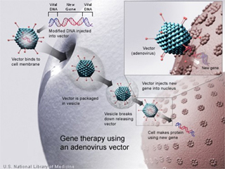 Illustration of a gene undergoing gene therapy.
