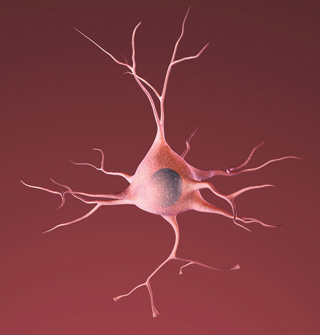 an illustration of a nerve cell, shaped like an irregular circle with tendrils shooting out on all sides like lightning bolts.