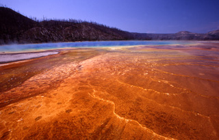 A photograph of a hot spring with areas of bright red, orange, and yellow.
