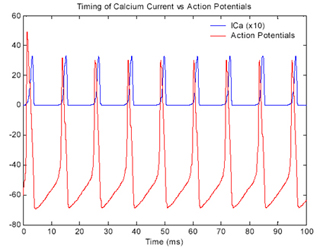A graph of timing and amplitude of action potential vs. onset of calcium current in an axon. 