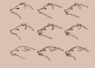 An illustration displaying many expressions of fear and aggression in a dog, from Darwin's The Expression of the Emotions in Animals and Man.