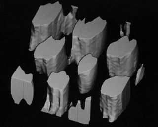 Three-dimensional view of a polystyrene domain.