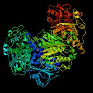 Structural image of protein complex from PDB database.