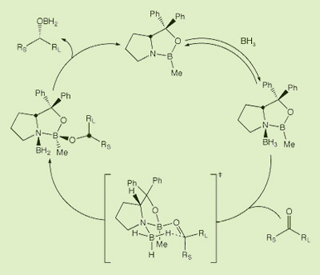 A diagram representing the oxazaborolidine-catalyzed asymmetric reduction of ketones.