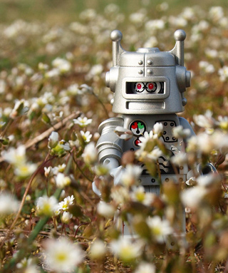 A small toy silver robot standing in a field of daisies.