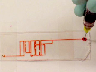 Ink being injected through channels arranged as MIT's logo.