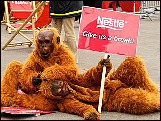 Two people in orangutan custumes holding a sign that says, "Nestle, Give us a break!"