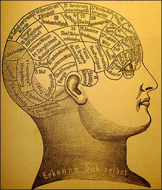 A line drawing of a brain map, commonly used in phrenology.