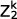 mathematical expression $Z^k_2$