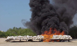 The U.S. Drug Enforcement Administration sets seized cocaine ablaze.