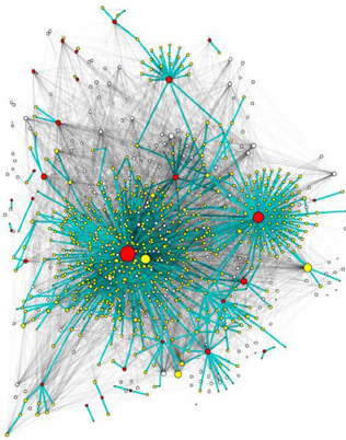 Subgraph of the retweet network superimposed to the corresponding followers network.