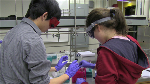 A male and female student with goggles on stand at a lab bench handling test tubes.
