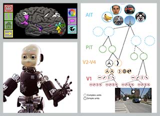 Collage of three images: (1) side view of human brain, with several regions highlighted; (2) a "tree diagram" illustrating how a street scene can be decomposed into various parts; (3) photo of a head and arms of a humanoid robot.